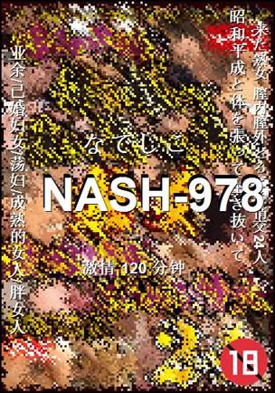 NASH-978torrent