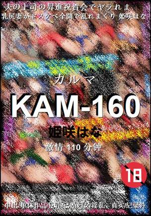 KAM-160