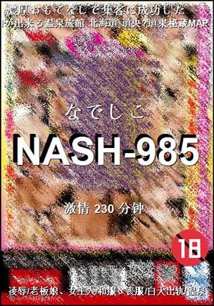 NASH-985torrent