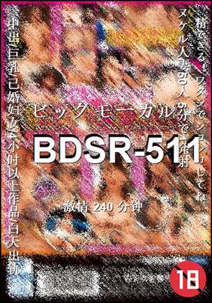 BDSR-511torrent