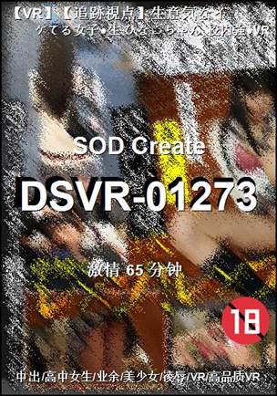DSVR-01273