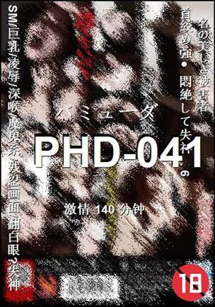 PHD-041
