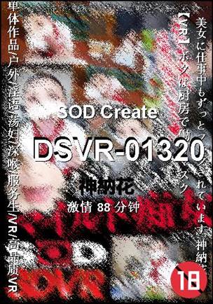 DSVR-01320