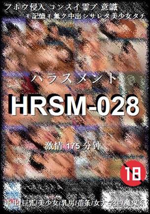 HRSM-028
