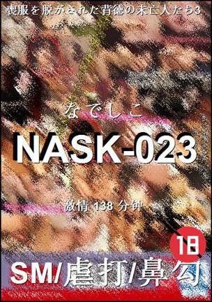NASK-023