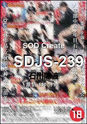 SDJS-239torrent