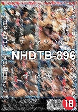 NHDTB-896torrent