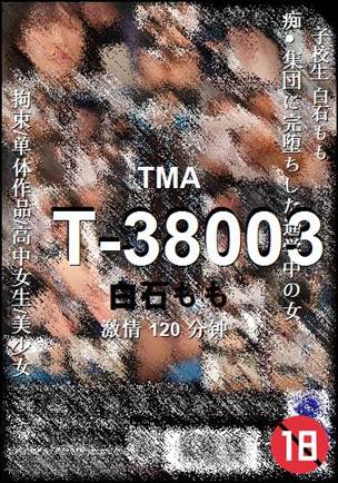 T-38003torrent