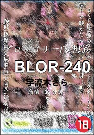 BLOR-240torrent