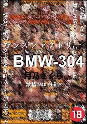 BMW-304torrent