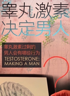غ輤ؾ